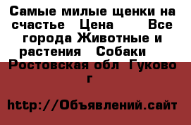 Самые милые щенки на счастье › Цена ­ 1 - Все города Животные и растения » Собаки   . Ростовская обл.,Гуково г.